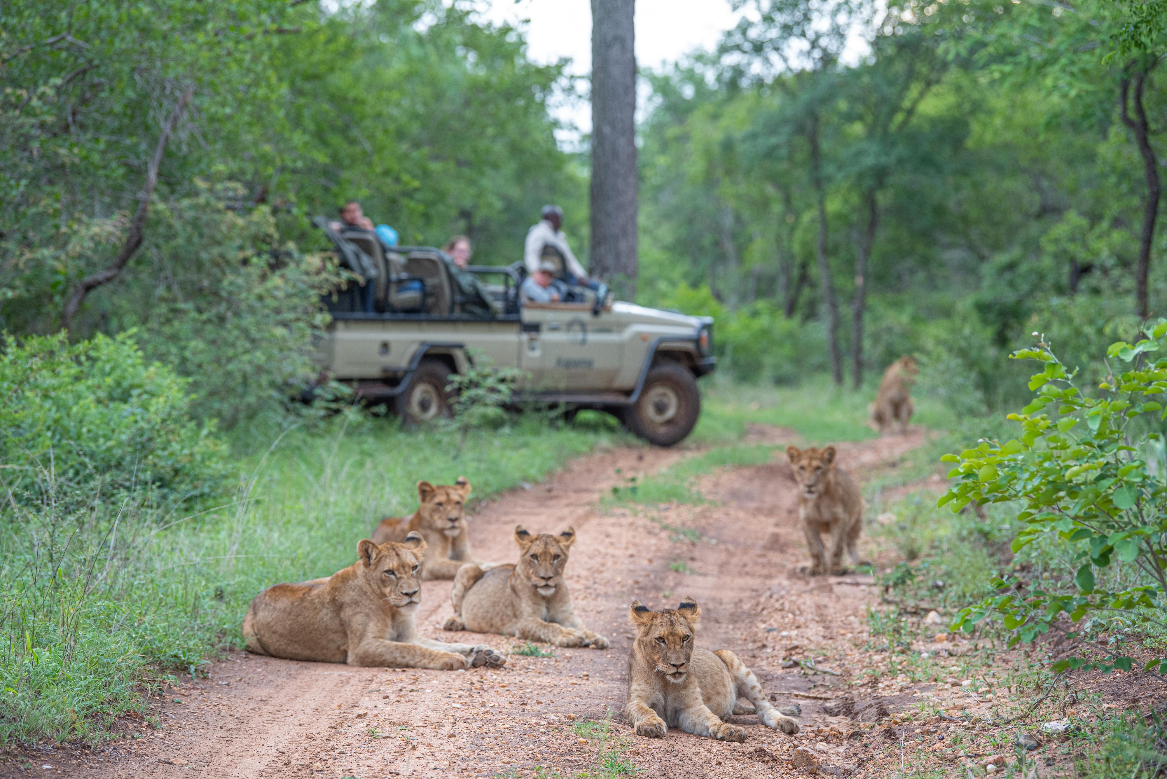 Kapama Southern Camp Hoedspruit Ngoại thất bức ảnh