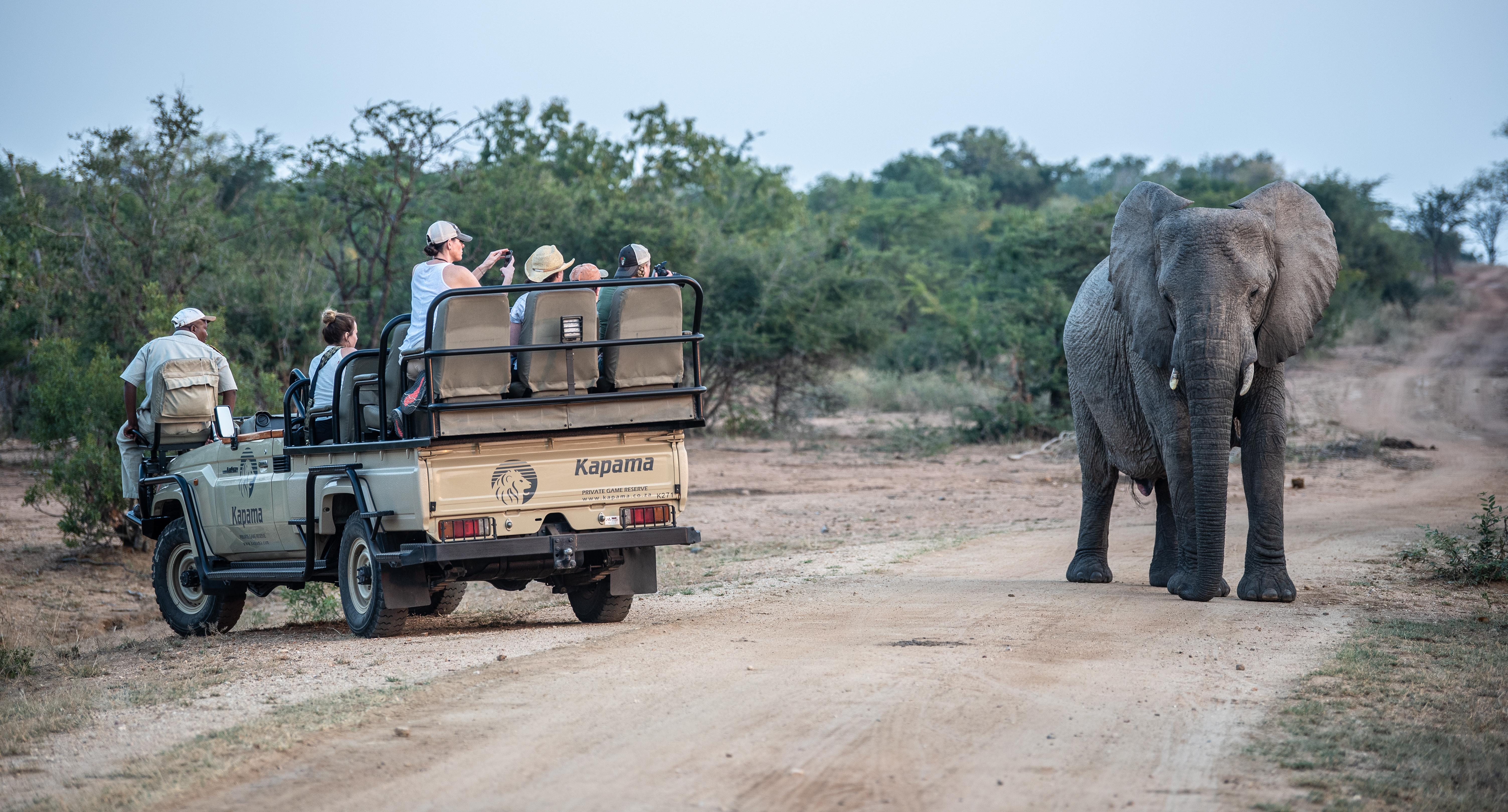 Kapama Southern Camp Hoedspruit Ngoại thất bức ảnh