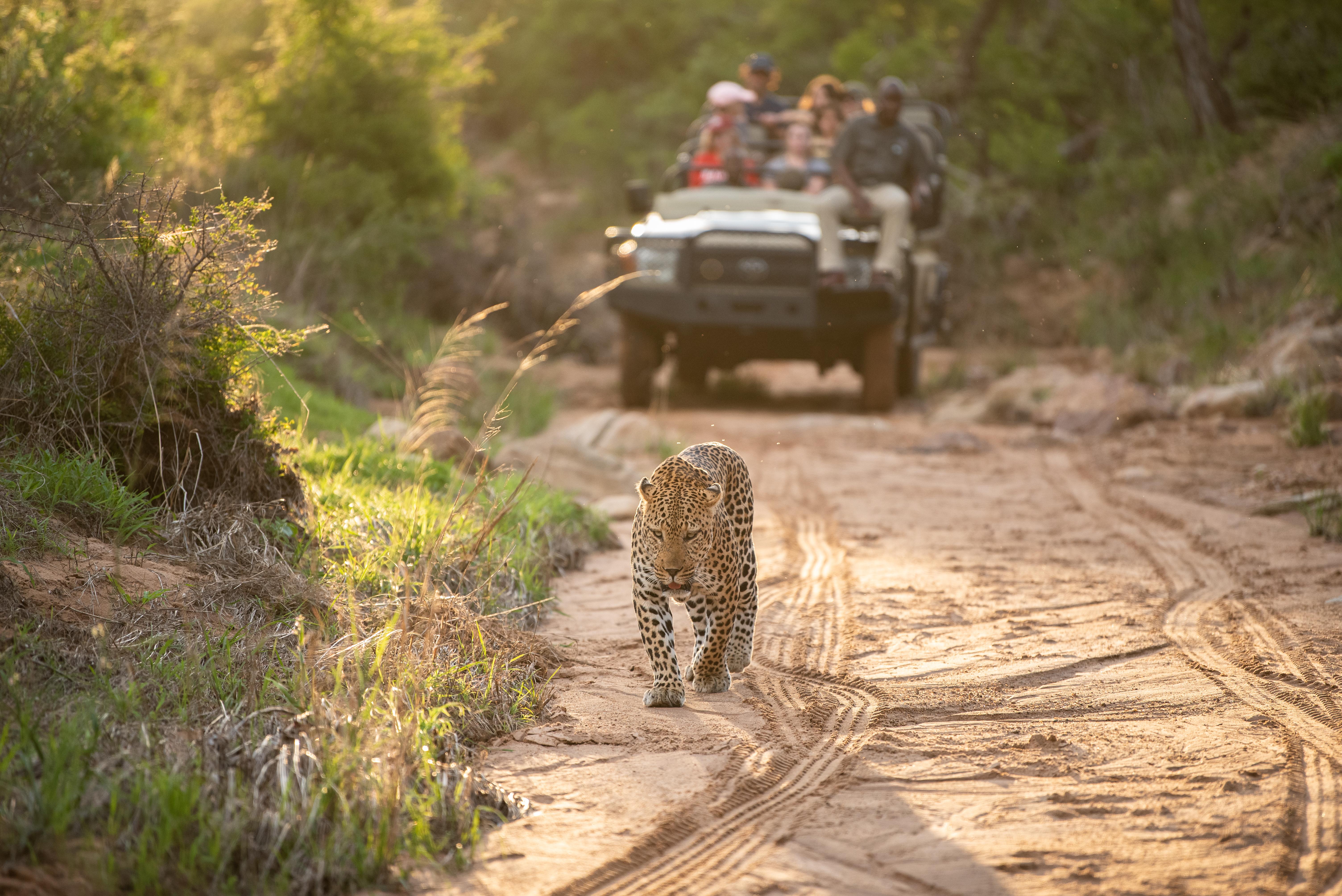Kapama Southern Camp Hoedspruit Ngoại thất bức ảnh